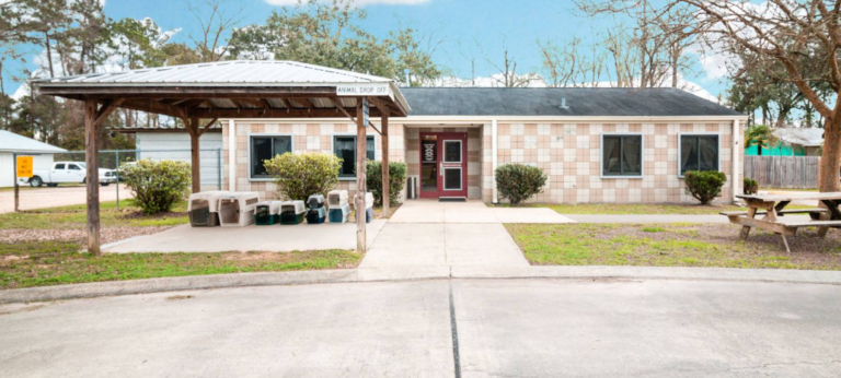 Tangipahoa Parish Animal Services Google Maps 06 02 2026 12 42 PM 768x346